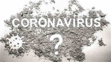 where did coronavirus originate